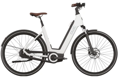 ebike model Premium Q MN8