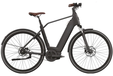 ebike model Premium Q MN8 Belt