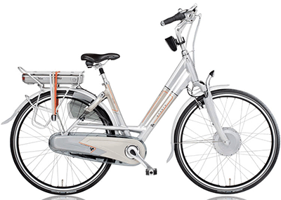 ebike model ION RX 2009