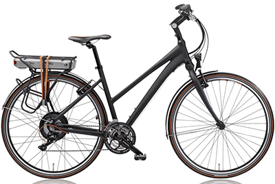 ebike model ION RXS light 2012