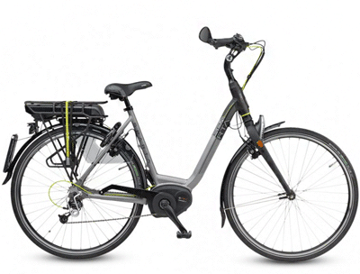 ebike model E-Speed M9B