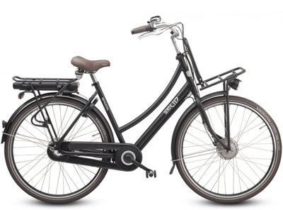 ebike model Pick-up Smart Electric