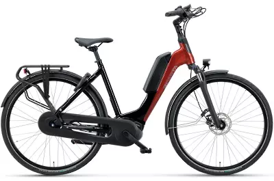 ebike model d-Rule M5TB