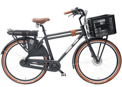 ebike model Forte
