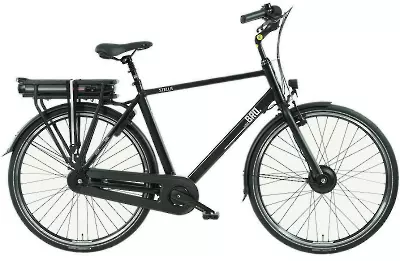 ebike model Bro