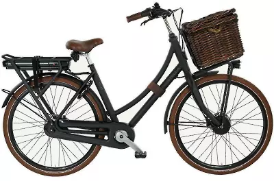 ebike model Dolce Comfort FDST 7V