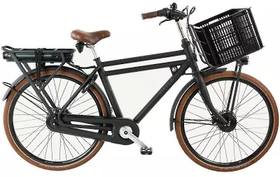 ebike model Forte Comfort FDST 7V
