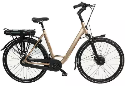 ebike model Livorno Superior FDST 8V